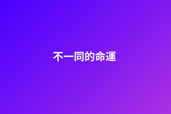 不一同的命運 (人生不同命運不同)-第1張-觀點-玄機派